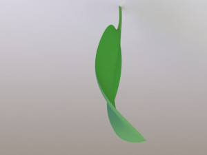 leaf- soft 3D Model