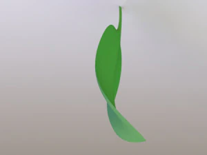 leaf- soft 3D Model
