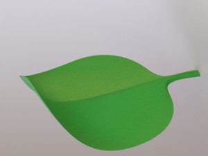 leaf- soft 3D Model