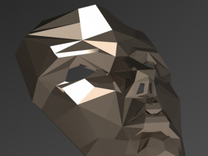 poly face mask 3D Model