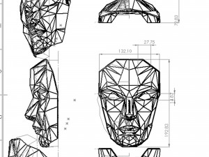 poly face mask 3D Model