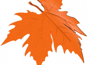 Plane tree leaf 3Dモデル