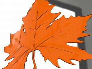 Plane tree leaf 3D Model