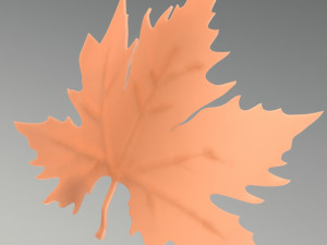 Plane tree leaf 3D Model