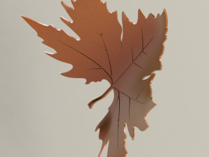 Plane tree leaf 3D Model