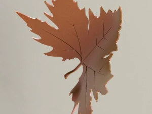 Plane tree leaf 3D Model