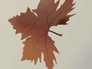 Plane tree leaf 3D Model