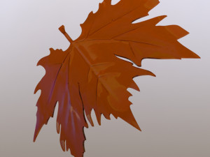 Plane tree leaf 3D Model
