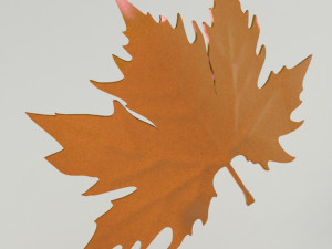 Plane tree leaf 3D Model