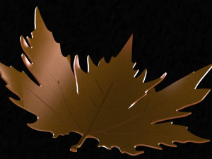 Plane tree leaf 3D Model