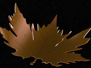 Plane tree leaf 3D Model
