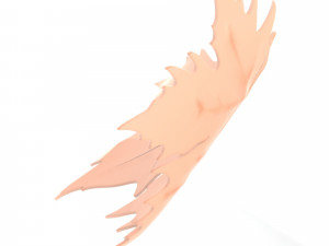 Plane tree leaf 3D Model