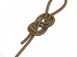 figure 8 follow knot 3D Model