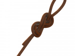 figure 8 follow knot 3Dモデル
