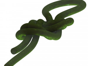 figure 8 follow knot 3Dモデル
