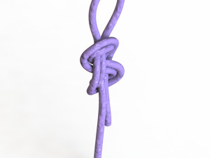 figure 8 follow knot 3Dモデル