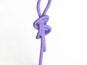 figure 8 follow knot 3D Model