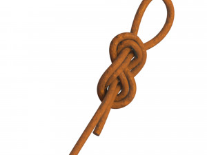 figure 8 follow knot 3Dモデル