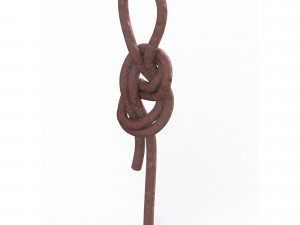 figure 8 follow knot 3Dモデル
