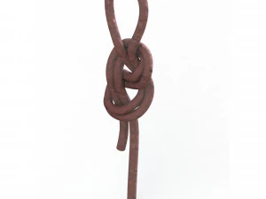 figure 8 follow knot 3D Model