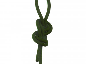 figure 8 follow knot 3Dモデル