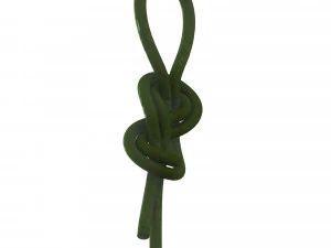 figure 8 follow knot 3D Model