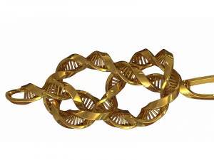 dna knot earring 3D Model