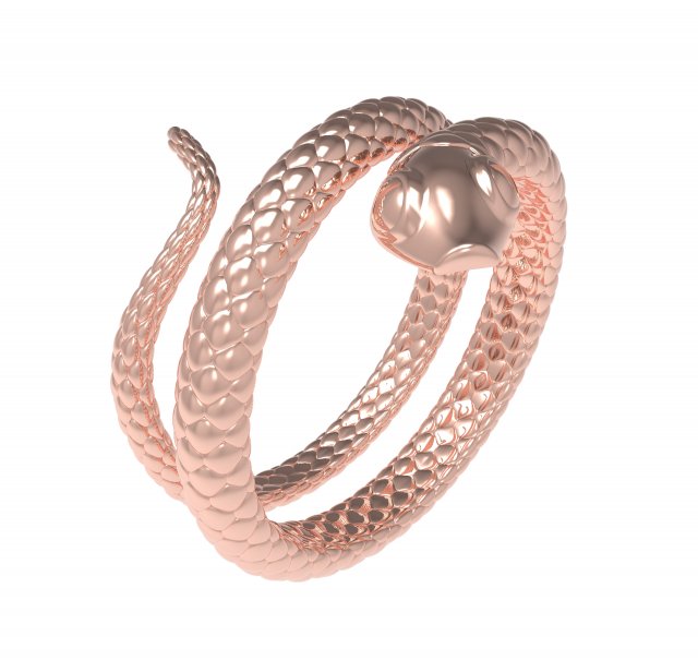 snake ring 3Dモデル .c4d .max .obj .3ds .fbx .stl .blend 