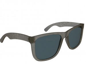 rayban 4165 3D Model