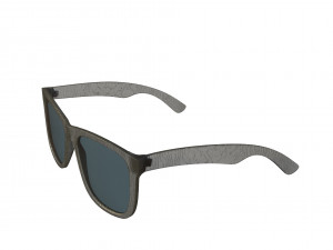 rayban 4165 3D Model