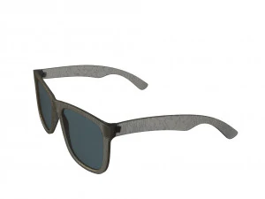 rayban 4165 3D Model