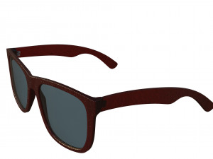 rayban 4165 3D Model