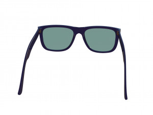 rayban 4165 3D Model