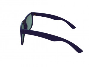 rayban 4165 3D Model