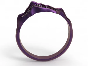 alborz ring 3D Model
