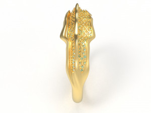 alborz ring 3D 모델