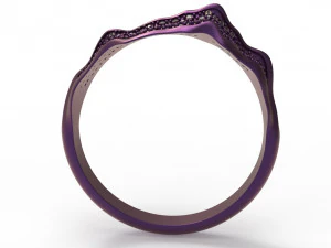 alborz ring 3D Model
