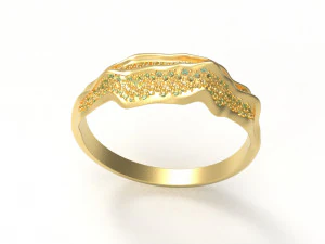 alborz ring 3D Model