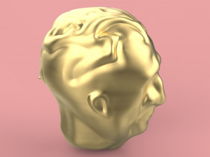firs head sculpting Modelo 3D