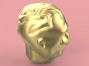 firs head sculpting 3D Model