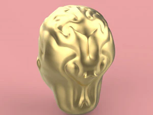 firs head sculpting 3D Model