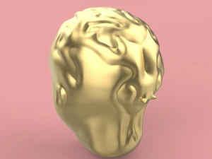 firs head sculpting 3D Model