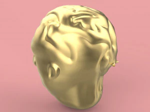 firs head sculpting 3D Model