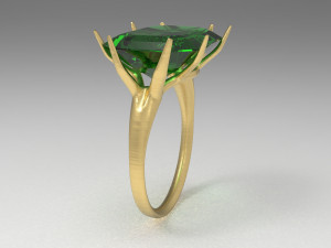 branch ring 3Dモデル