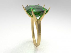 branch ring 3Dモデル