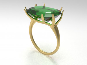branch ring 3Dモデル