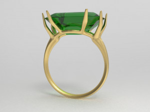 branch ring 3Dモデル