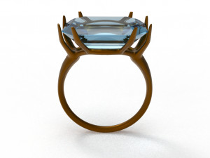 branch ring 3Dモデル