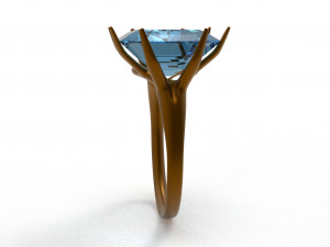 branch ring 3Dモデル