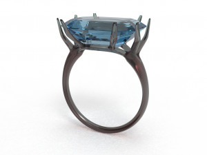 branch ring 3Dモデル